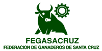 FEGASACRUZ